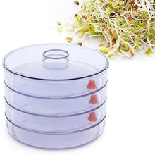 070 Plastic 4 Compartment Sprout Maker, White aashopy