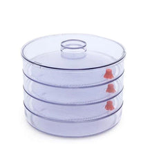 070 Plastic 4 Compartment Sprout Maker, White aashopy